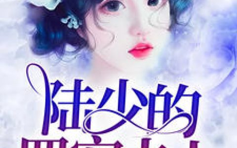 《陆少的罪宠夫人》小说角色叶妩陆骁全本章节免费在线阅读
