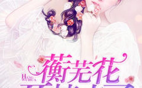蘅芜花开情未了叶芜陆铭宸，叶芜陆铭宸全本在线阅读