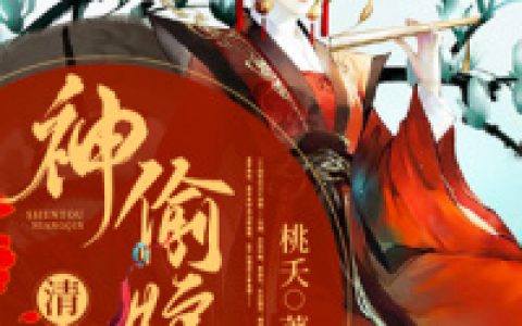 神偷娘亲清醒点小说完整版花颜帝翎寒全本在线免费阅读