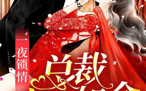 《一夜锁情，总裁宠妻如命》小说章节目录林希,林佳全文免费阅读