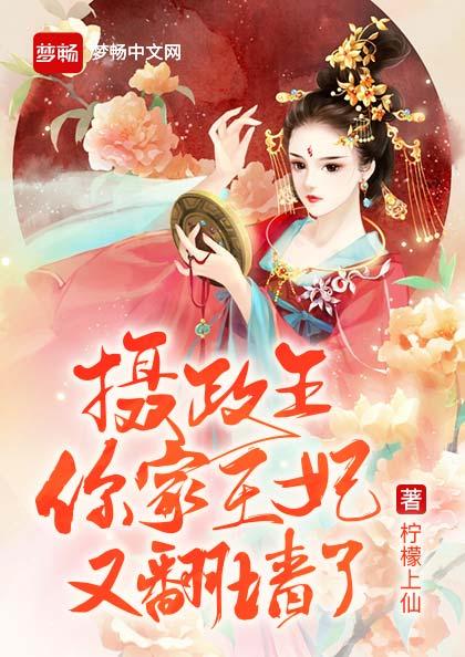 摄政王,你家王妃又翻墙了(书号:13313)