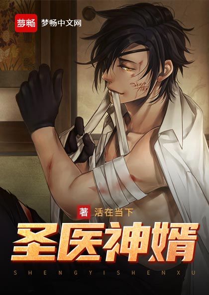 圣医神婿(书号:13372)