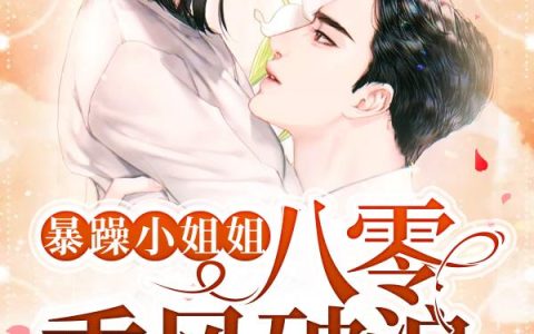 《暴躁小姐姐八零乘风破浪》小说章节目录苏澜,李云全文免费阅读