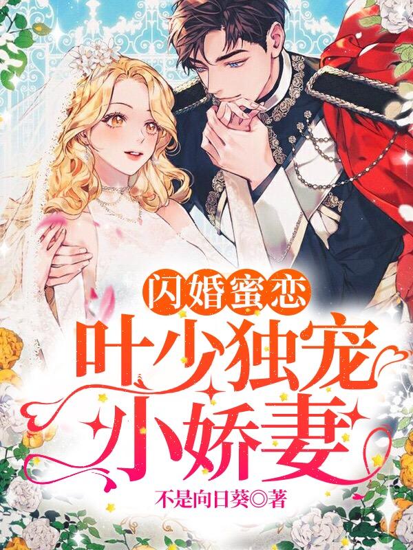 闪婚蜜恋:叶少独宠小娇妻