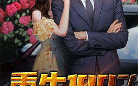 《重生1997》小说全本在线试读，《林婉陈震》最新章节目录