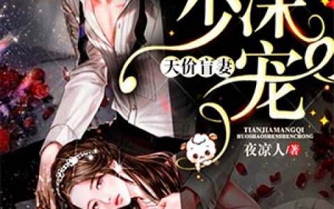 《天价盲妻：霍少深深宠》小说角色安小冉霍子彦全本章节免费在线阅读