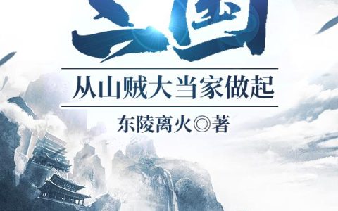 《三国：从山贼大当家做起》小说章节目录罗斌,赵大宝全文免费阅读