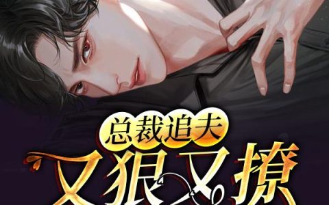 《总裁追夫又狠又撩还粘人》小说章节目录方同,赵固成全文免费阅读