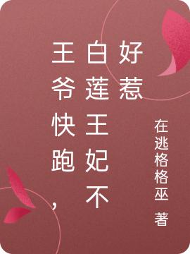 王爷快跑,白莲王妃不好惹