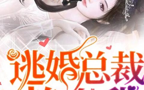 《逃婚总裁赖上我》小说章节目录乔冉,韩氏全文免费阅读