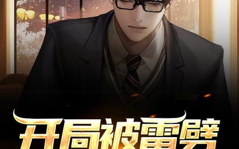 《开局被雷劈，你我再相遇》小说章节目录叶启飞,叶启飞路全文免费阅读