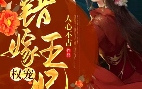 《权宠错嫁王妃》小说章节目录沈玉,许久全文免费阅读
