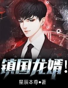 镇国龙婿!