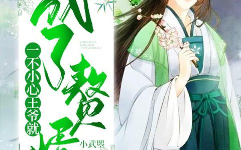 《一不小心王爷就成了赘婿》小说章节目录柳若兰,月儿全文免费阅读