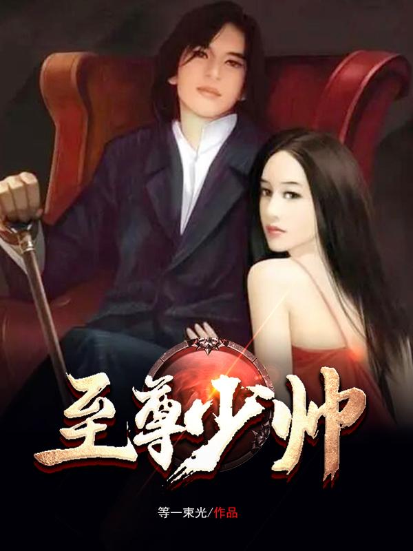 至尊少帅