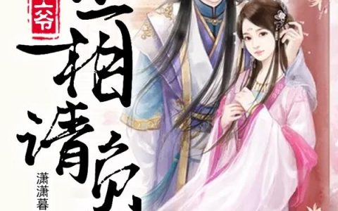 《病娇王爷：丞相，请负责》小说章节目录李玄灵,郑湫泓全文免费阅读