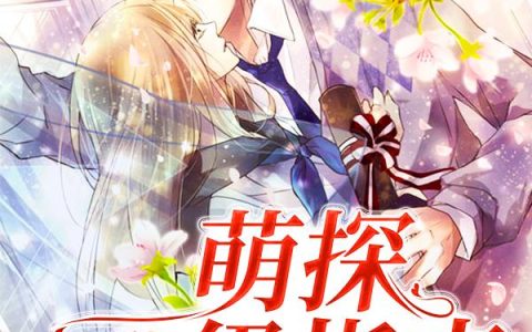 《萌探升级指南》小说章节目录莫大全文免费阅读