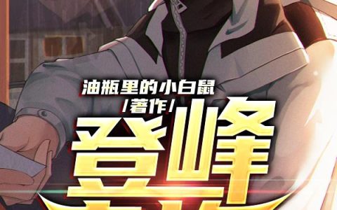 《登峰之旅》小说章节目录赵总,石业一全文免费阅读