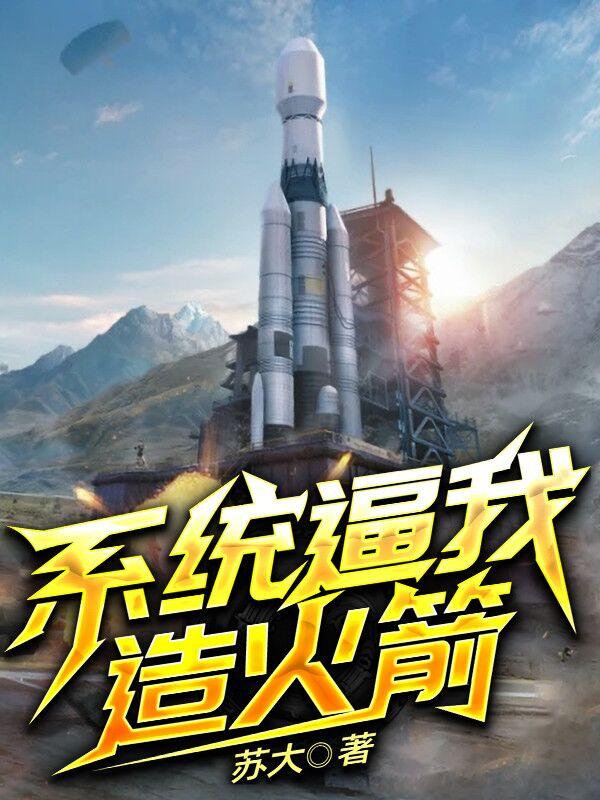 系统逼我造火箭