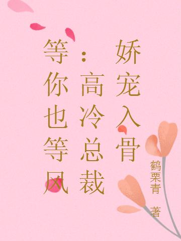 等你也等风:高冷总裁娇宠入骨