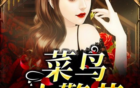 《菜鸟小警花》小说章节目录黄思齐,老曹全文免费阅读