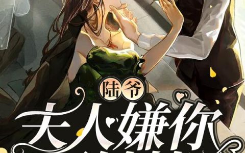 《陆爷，夫人嫌你不够撩》小说章节目录夏沐笙,陆北骁全文免费阅读