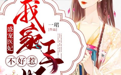 《盛宠医妃：我家王妃不好惹》小说章节目录陆雯玥,陆雯全文免费阅读