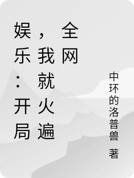 娱乐：从演唱会开始，我全网皆知