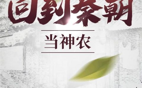 《回到秦朝当神农》小说章节目录陈海,黄胖子全文免费阅读