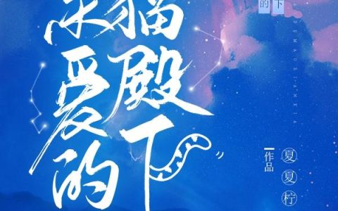 《亲爱的猫殿下》小说章节目录白晓晓,胖虎全文免费阅读