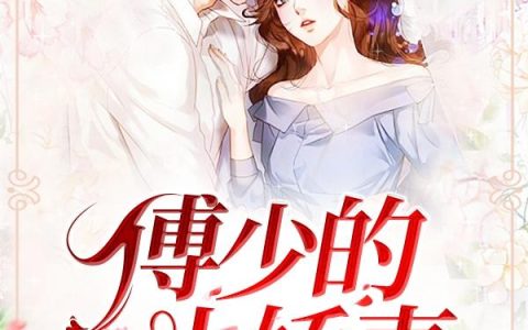 《傅少的小娇妻》小说章节目录苏璃安,不可侵犯全文免费阅读
