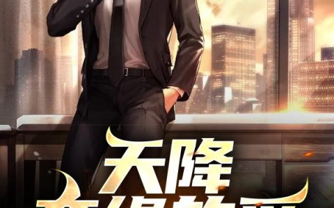 《天降奇缘的爱》小说章节目录林宇峰,李博全文免费阅读