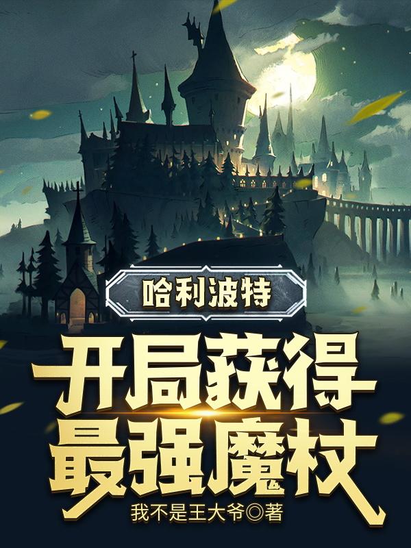 哈利波特:开局获得最强魔杖