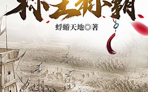 《三国之称王称霸》小说章节目录苏安,苏凌全文免费阅读