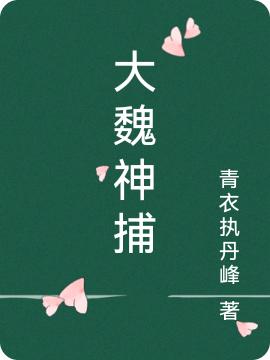 大魏神捕