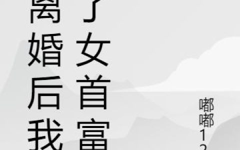 《被离婚后我成了女首富》小说章节目录盛南伊,宋国明全文免费阅读