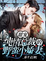 甜宠:纯情总裁的野蛮小娇妻