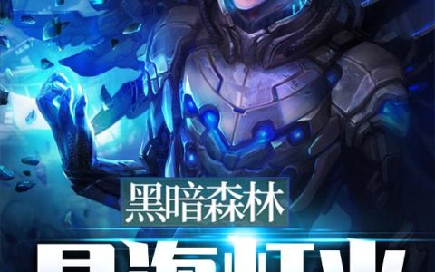 《黑暗森林：星海灯火》小说章节目录全文免费阅读