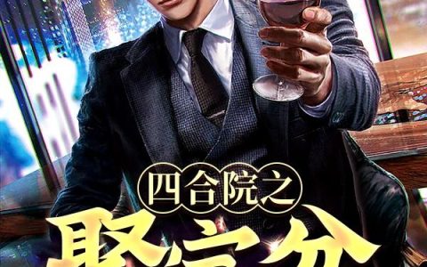 《四合院之聚宝盆》小说章节目录全文免费阅读
