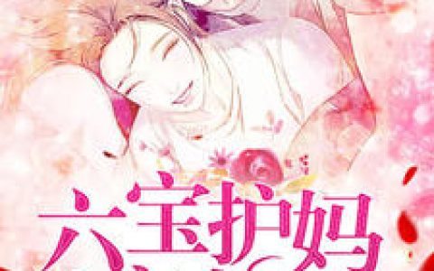 沈潇潇顾庭霄《六宝护妈齐上阵》小说最新章节免费阅读