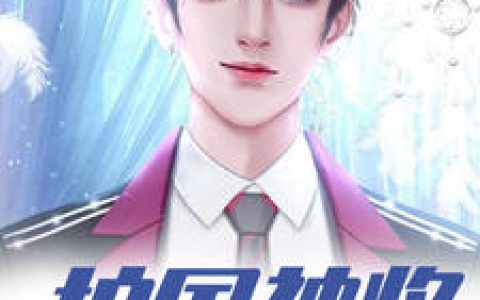 雷军柳如茵《护国神将》小说最新章节免费阅读