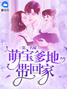 第一名媛:萌宝爹地带回家