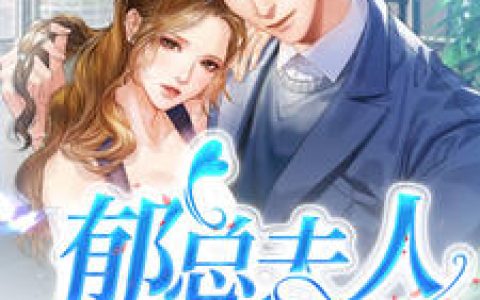 叶式微郁冥渊《郁总夫人要离婚》小说最新章节免费阅读