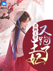 杀神王爷:王妃又跑了