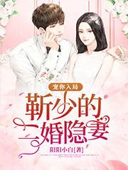 宠你入局:靳少的二婚隐妻