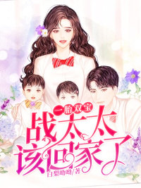 一胎双宝:战太太,该回家了