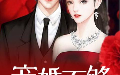 顾浅一舒薇《宠婚不够（书号：1988）》小说最新章节免费阅读