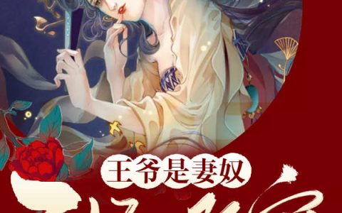 苏沐林宛瑜《医妃难宠：王爷是妻奴》小说最新章节免费阅读