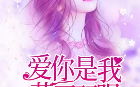 陈易欧苏然《爱你是我蒙了双眼》小说最新章节免费阅读