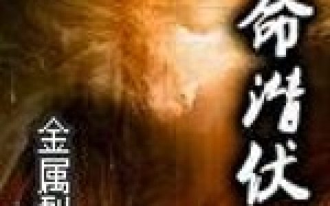 小刘来一《致命潜伏》小说最新章节免费阅读